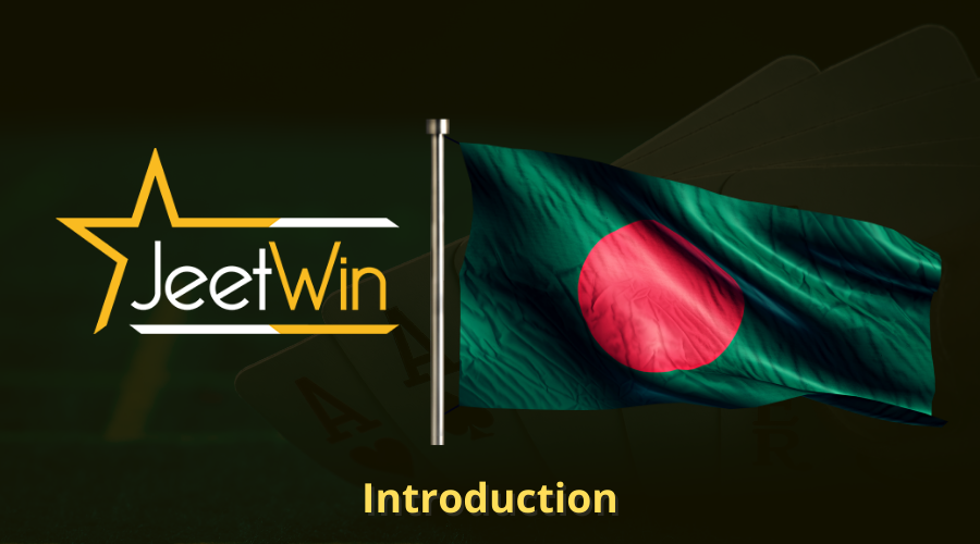 JeeTwin কিভাবে ব্যবহারকারীর অর্থনৈতিক নিরাপত্তা বজায় রাখে?